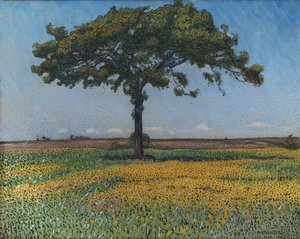 Giovane quercia