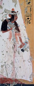 Giovane donna con anatra, copia dell