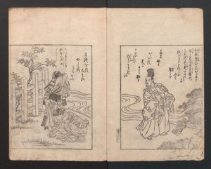 Libro illustrato: Camellia Ehon Himetsubaki