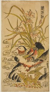 Anatre Mandarine, dalla serie "Kashinsai"