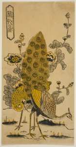 Malvarose e pavoni (Aoi ni kujaku) da Nishimura Shigenobu