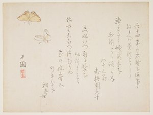 (Farfalle) da Nishiyama Hoen