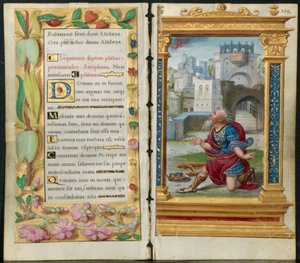 Foglie adiacenti da un Libro d