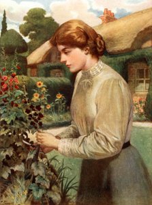 Una ragazza inglese