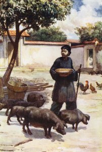 Cina: Un cortile da Norman Hardy