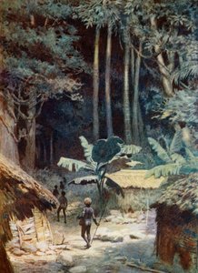Nelle profondità di una foresta melanesiana, 1908 da Norman Hardy