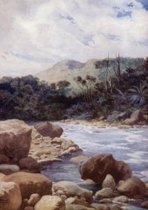 Le rapide, fiume Williams, isola di Eromanga, Nuove Ebridi da Norman Hardy