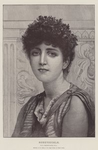 Caprifoglio