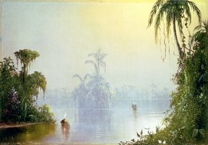 Foschia tropicale, 1879