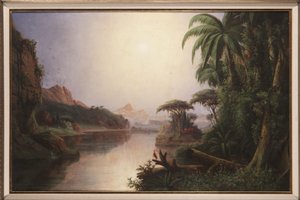 Paesaggio tropicale