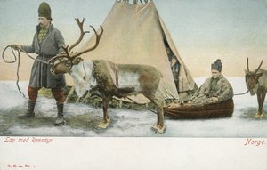 Lapponi con renne, Norvegia