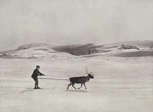 Sci con renne sulle montagne da Norwegian Photographer