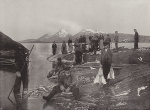 Lavaggio del pesce Klip da Norwegian Photographer