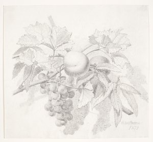 Uva e pesche da O.D. Ottesen