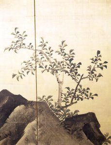 Tigri In Un Paesaggio