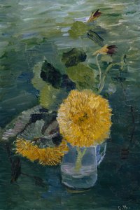 Girasoli