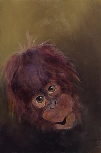 Baby orangutan 2, 2010 (acrilico su legno) da Odile Kidd