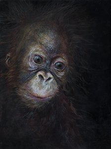 Baby orangutan 3, 2015 (acrilico su legno)