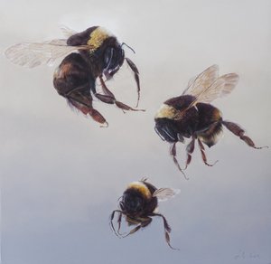 Bombus flight 1, 2011 (acrilico su legno) da Odile Kidd