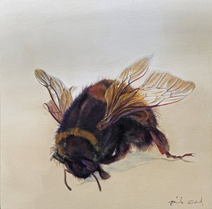 Bombus terrestris 10, 2013 (acrilico su legno)