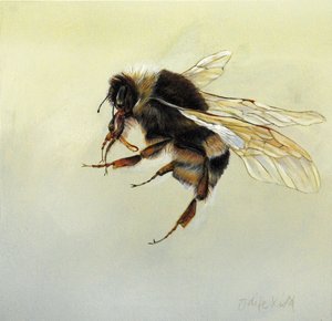 Bombus terrestris 4, 2011 (acrilico su legno) da Odile Kidd