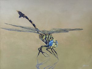 La mosca del drago, 2009 (acrilico su legno)