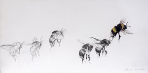 Schema di volo, 2014 (matita, acrilico su legno gesso) da Odile Kidd
