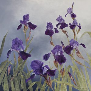 Iris hybrida, 2015 (acrilico su legno gesso) da Odile Kidd