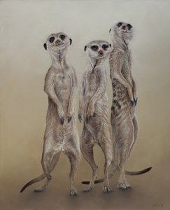 Meerkats, 2014 (acrilico su legno gesso)