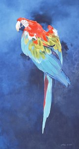 Ara rossa e blu, 2002 (acrilico su lino) da Odile Kidd