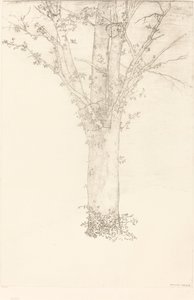 Albero da Odilon Redon