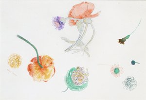  da Odilon Redon