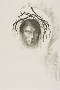 Il giorno appare finalmente,...e nel disco stesso del sole brilla il volto di Gesù Cristo, tavola 24 di 24