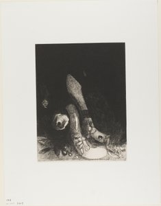 I fiori cadono e appare la testa di un pitone, tavola 5 di 24 da Odilon Redon
