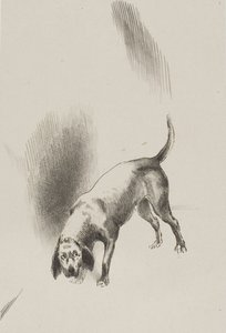 Lui [il cane del narratore] teneva i suoi occhi fissi su di me con uno sguardo così strano, tavola 3 di 6 da Odilon Redon