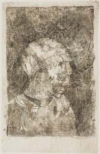 Testa di ragazza (titolo del compilatore) da Odilon Redon