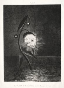 Omaggio a Goya: Il fiore della palude, una triste testa umana, 1885 da Odilon Redon