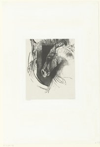 Cavallo da battaglia