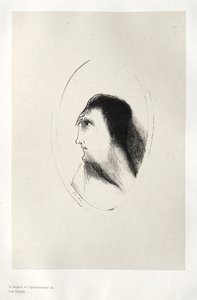 La Casa Infestata: La Larghezza e la Piattezza del Fronte, 1896 da Odilon Redon
