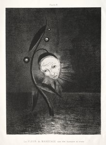 Il fiore della palude, una triste testa umana da Odilon Redon