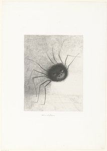 Il Ragno da Odilon Redon