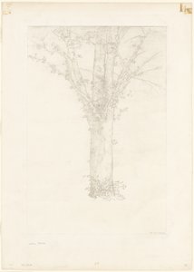 Albero da Odilon Redon