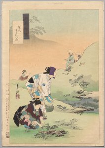 Bellezze che raccolgono felci, dalla serie Miscellanea di Gekkō da Ogata Gekko