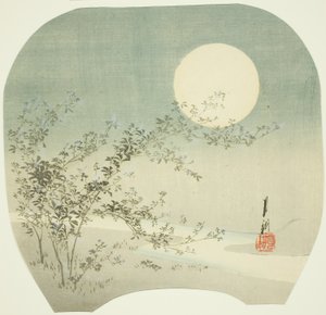 Luna piena e fiori autunnali presso il ruscello