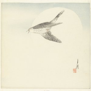 Cuculo che vola alla luna piena da Ogata Gekko