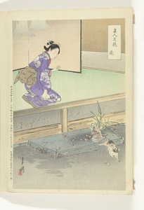 Orchidea