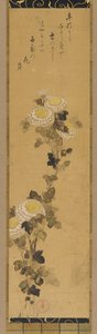 Crisantemi da Ogata Kenzan