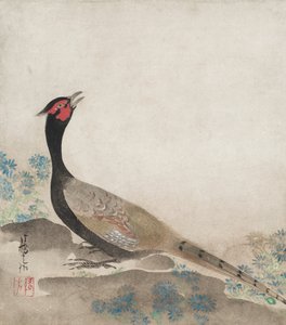  da Ogata Korin
