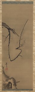 Prunus, rotolo appeso, c.1700 da Ogata Korin