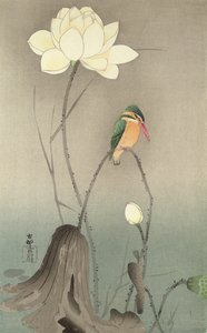 Un martin pescatore e un loto, c.1910